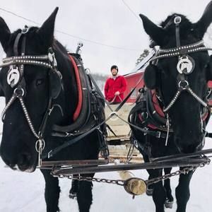 Meet your Posher, Brandon